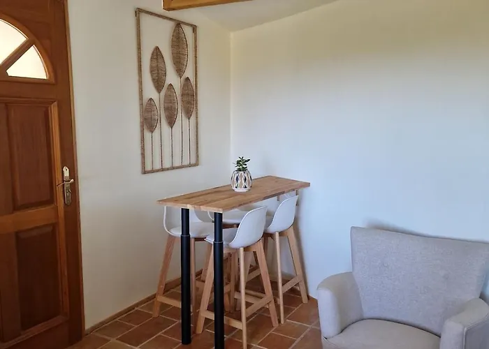 Villa Mas Fauvette With Sea View